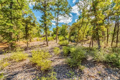106 Wampum, Smithville, TX 78957 - Photo 6