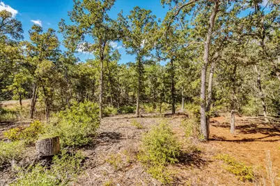 106 Wampum, Smithville, TX 78957 - Photo 4