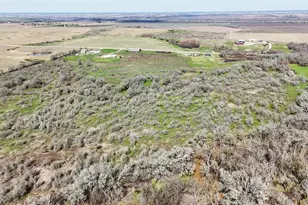 Tbd County Road 471 Rd, Thrall, TX 76578 - Photo 18