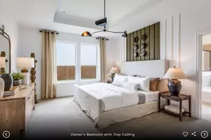 301 Celeste Wy, Liberty Hill, TX 78642 - Photo 10