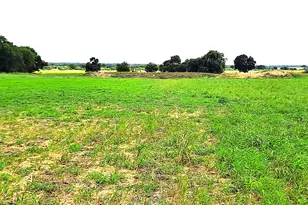 Tract 3 County Road 432 Rd, Rockdale, TX 76567 - Photo 1