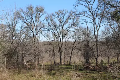 1223 County Road 429, Dime Box, TX 77853 - Photo 4