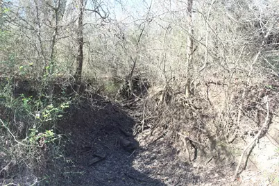 1223 County Road 429, Dime Box, TX 77853 - Photo 12