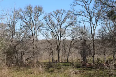 1223 County Road 429, Dime Box, TX 77853 - Photo 4