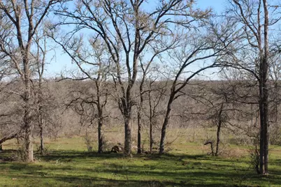 1223 County Road 429, Dime Box, TX 77853 - Photo 10