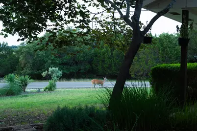 3807 Cedar Glen, Lago Vista, TX 78645 - Photo 30