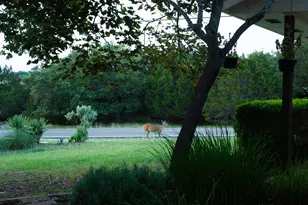 3807 Cedar Glen, Lago Vista, TX 78645 - Photo 30