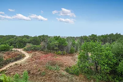 5212 Pink Poppy Pass #20, Austin, TX 78735 - Photo 20