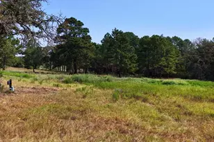 218 Little Ranch Rd, Red Rock, TX 78662 - Photo 26