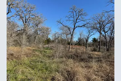 Tbd Tbd Drive, Cedar Creek, TX 78612 - Photo 2