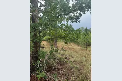 Lot 1612 Kaanapali Lane, Bastrop, TX 78602 - Photo 6