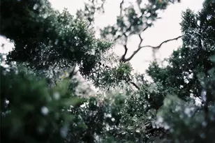 684 Stoneleigh Rd, Center Point, TX 78010 - Photo 32