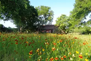 684 Stoneleigh Rd, Center Point, TX 78010 - Photo 36