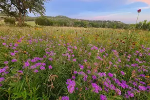 684 Stoneleigh Rd, Center Point, TX 78010 - Photo 34
