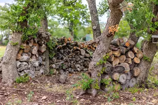 456 Colt Vly Rd, Fredericksburg, TX 78624 - Photo 36