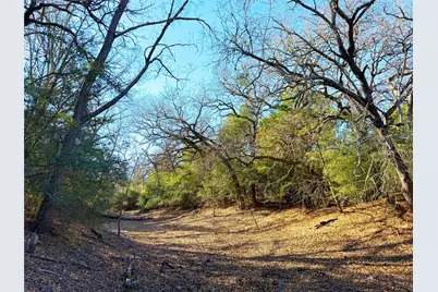 0000 Fm 2336, McDade, TX 78650 - Photo 8