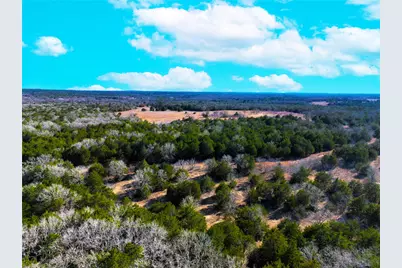 0000 Fm 2336, McDade, TX 78650 - Photo 20