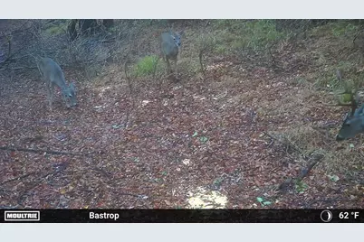 0000 Fm 2336, McDade, TX 78650 - Photo 32