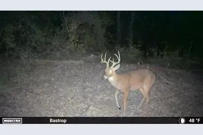 0000 Fm 2336, McDade, TX 78650 - Photo 28