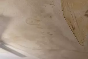 4807 Hilldale Dr, Austin, TX 78723 - Photo 14