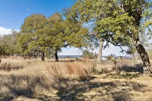 990 Axis Cir, Fredericksburg, TX 78624 - Photo 30