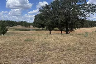 Lot 41 109 Baurenhof Ct, Fredericksburg, TX 78624 - Photo 1