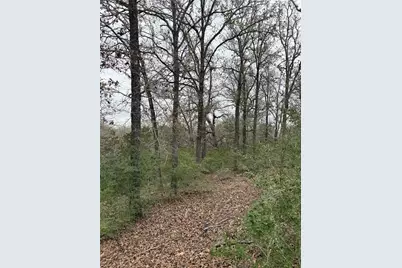 000 Wailupe Circle, Bastrop, TX 78602 - Photo 1