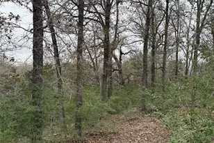 000 Wailupe Circle, Bastrop, TX 78602 - Photo 1