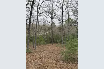 000 Wailupe Circle, Bastrop, TX 78602 - Photo 2