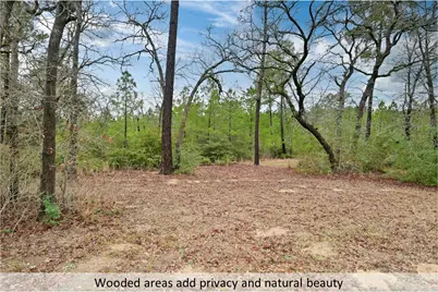170 Woodland Court, Bastrop, TX 78602 - Photo 38