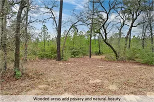 170 Woodland Ct, Bastrop, TX 78602 - Photo 38