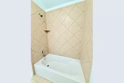 19508 Smith Gin Street, Manor, TX 78653 - Photo 24