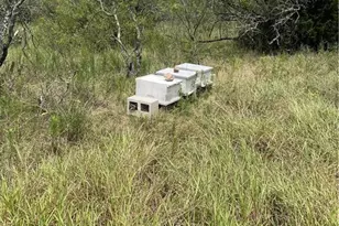 9025 Burklund Farms Rd, Del Valle, TX 78617 - Photo 10