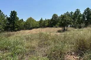 [Address not provided], Bastrop, TX 78602 - Photo 1