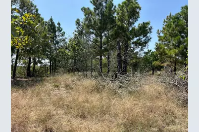 [Address not provided], Bastrop, TX 78602 - Photo 2