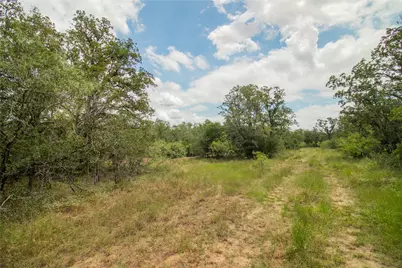9057 Sycamore Shade Lane, Kingsbury, TX 78155 - Photo 12