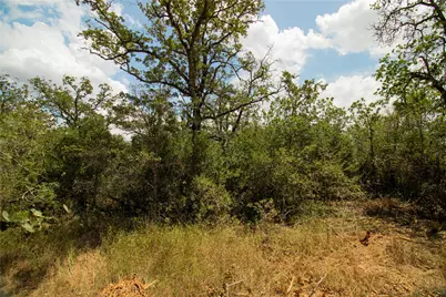 9057 Sycamore Shade Lane, Kingsbury, TX 78155 - Photo 6