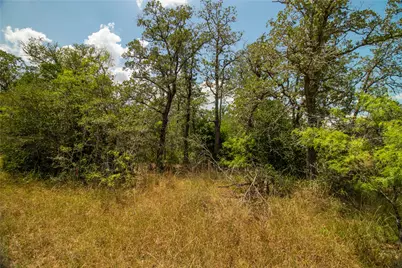 9057 Sycamore Shade Lane, Kingsbury, TX 78155 - Photo 14