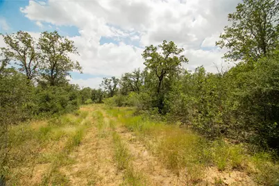 9057 Sycamore Shade Lane, Kingsbury, TX 78155 - Photo 4