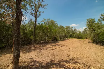 9057 Sycamore Shade Lane, Kingsbury, TX 78155 - Photo 8