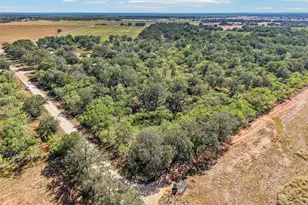 716 W County Road 109 Rd, Leesville, TX 78122 - Photo 30