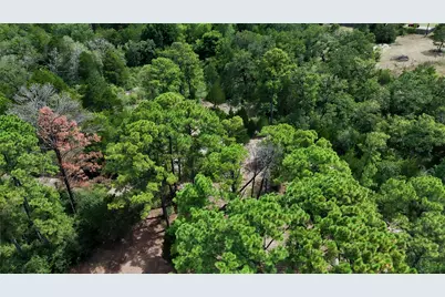 Tbd Modock Drive, Bastrop, TX 78602 - Photo 10