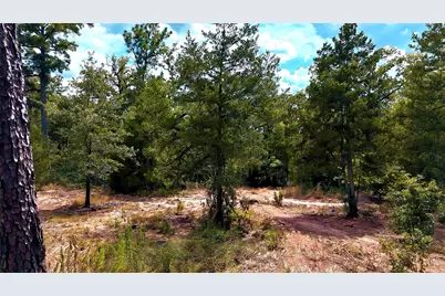 Tbd Modock Drive, Bastrop, TX 78602 - Photo 30