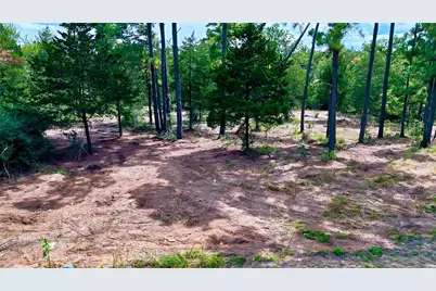 Tbd Modock Drive, Bastrop, TX 78602 - Photo 30