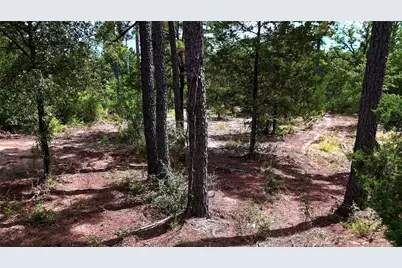 Tbd Modock Drive, Bastrop, TX 78602 - Photo 24