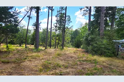 Tbd Modock Drive, Bastrop, TX 78602 - Photo 6