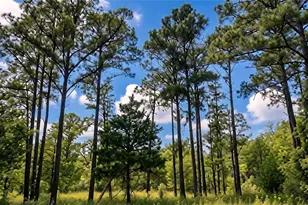 Tbd Modock Dr, Bastrop, TX 78602 - Photo 1
