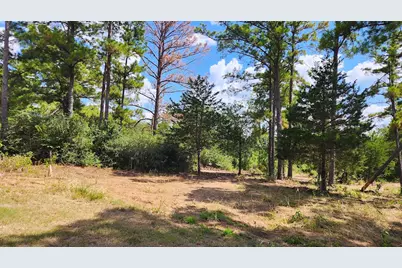 Tbd Modock Drive, Bastrop, TX 78602 - Photo 2