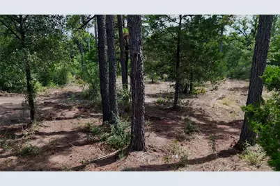 Tbd Modock Drive, Bastrop, TX 78602 - Photo 20