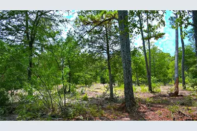Tbd Modock Drive, Bastrop, TX 78602 - Photo 8